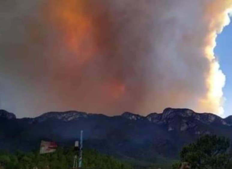 El siniestro inició el sábado diez de abril en el predio El Milagro, dentro del Área Natural Protegida del Parque Real de Guadalcázar, San Luis Potosí, y al día siguiente se propagó hacia el estado de Nuevo León, en la zona del Cerro El Cabrero.
(ARCHIVO)