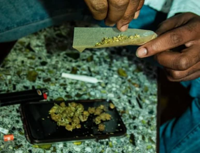 Fumadores de marihuana se reunirán este martes por todo Estados Unidos para marcar un importante hito de su calendario: el 4/20 (20 de abril). Y lo harán, seguramente, a las 4:20 de la tarde. (Especial)