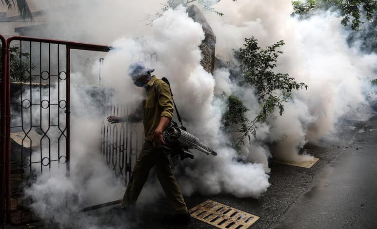 Veinticinco países, entre los que figuran Guatemala, Panamá, Honduras y República Dominicana, tienen la capacidad de eliminar la malaria en cinco años, reveló hoy la Organización Mundial de la Salud (OMS), que anunció que otros once quedaron definitivamente libres de esta enfermedad en 2020. (ARCHIVO)