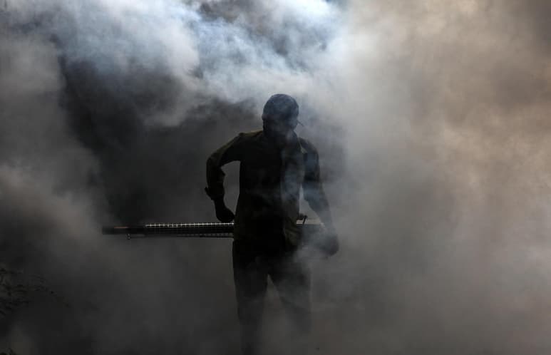 La malaria es una enfermedad infecciosa que ha quejado a la población desde el siglo pasado, y pese a que en la actualidad, su incidencia ha disminuido, en México aún se registran nuevos casos, siendo Chiapas, Oaxaca, Nayarit, Durango, Sinaloa y Sonora, los estados más afectados. (ARCHIVO)