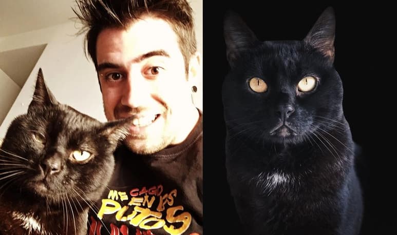 El 'youtuber' dio a conocer el fallecimiento de su mascota 'Don Gato', ayer por la tarde (TWITTER)