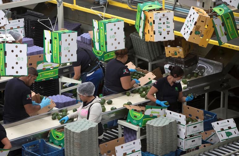 La calificadora Moody's mantuvo la calificación crediticia de México en 'Baa1' con perspectiva negativa, por lo que podría ser revisada en próximos 12 a 18 meses. (ARCHIVO)