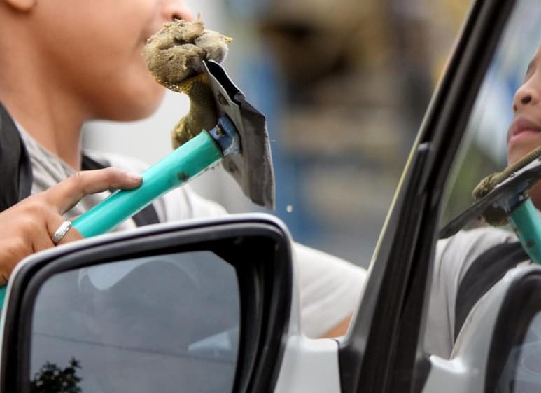 Hay 708 mil 119 niños y adolescentes que tienen entre 5 y 17 años, sin embargo, 49 mil 242 se ven forzados a trabajar. (ARCHIVO)