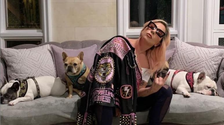 La Policía de los Ángeles ha detenido a cinco sospechosos por el asalto armado al paseador de perros de Lady Gaga y el robo de los dos bulldogs que recuperó a los dos días. (ESPECIAL)