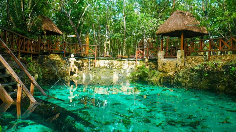 Los cenotes en Tulum son ideales para bucear y nadar entre la naturaleza. (ESPECIAL)