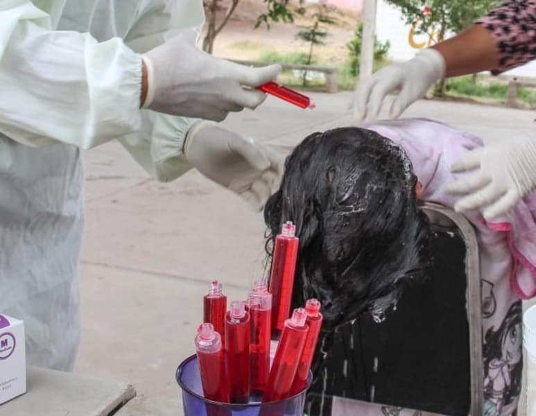 La dirección de Prevención Social realizó esta semana una campaña contra la Pediculosis (problemas de salud por piojos) en el área rural, por lo cual visitaron las villas del Municipio, villa Juárez, La Loma, León Guzmán y Juan E. García así como la comunidad de Las Isabeles. (DIANA GONZÁLEZ)