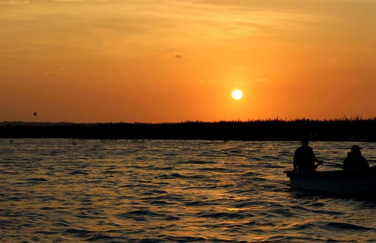 Están entre las últimas regiones de la Tierra colonizadas por el hombre, pero las islas han padecido de una manera mucho más acelerada los cambios en su biodiversidad como consecuencia de esos asentamientos y de las actividades humanas. (ESPECIAL)