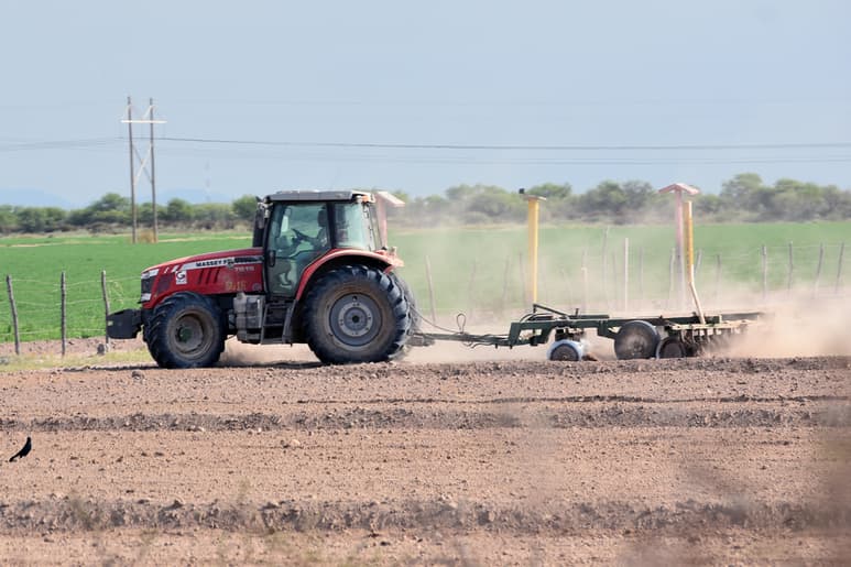 México prevé un alza de 0.5 por ciento en su producción agrícola y pesquera de este año. (EL SIGLO DE TORREÓN)