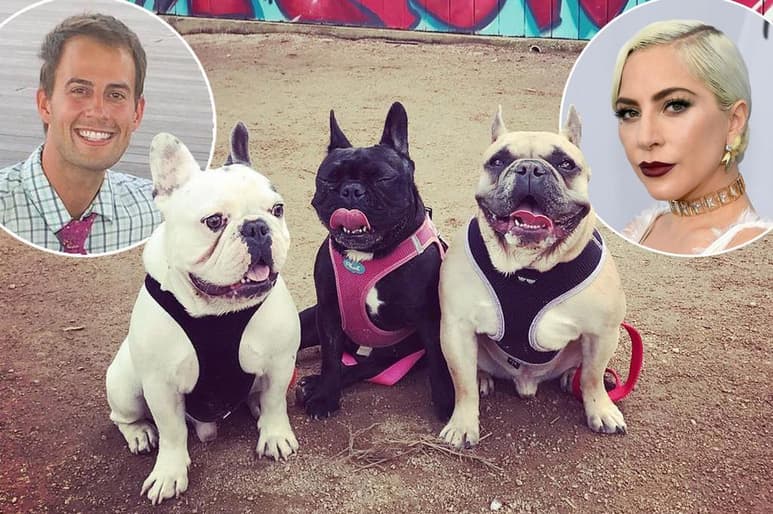 Tres hombres iban en auto por la zona de Hollywood en busca de costosos perros bulldog francés para robar, dijeron fiscales. Su noche terminó en un tiroteo y el robo violento de las adoradas mascotas de la estrella pop. (ESPECIAL)