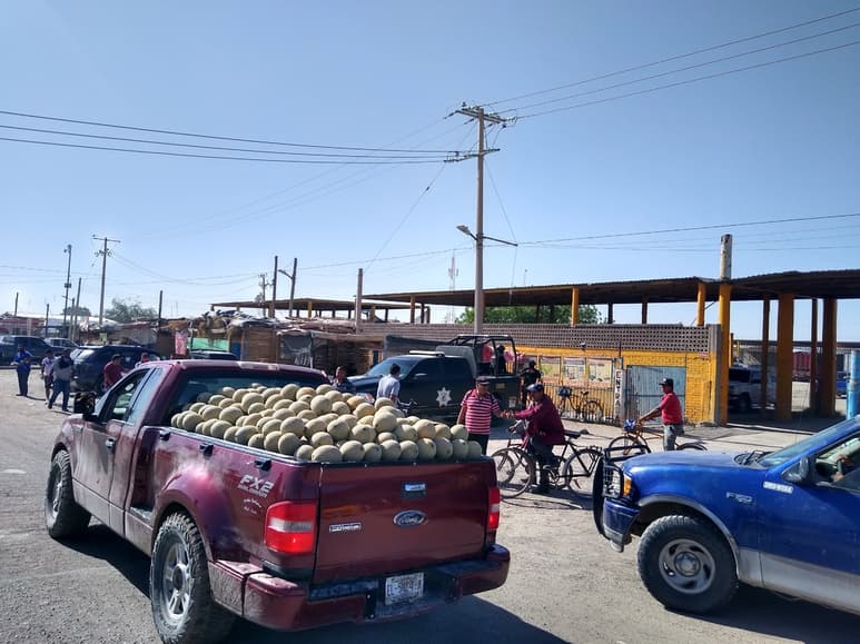 Organizan a productores de melón y sandía para estabilizar los precios; incluso para evitar los abusos de los 'coyotes' hay presencia policiaca. (EL SIGLO DE TORREÓN)