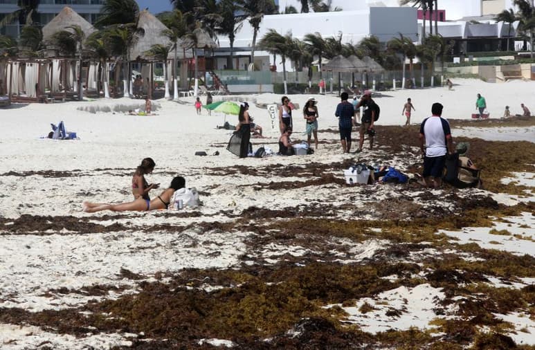 Esteban Amaro, encargado de la Red de Monitoreo del Sargazo Cancún, da seguimiento al comportamiento de la macroalga en las costas del estado mexicano de Quintana Roo y explica que este abril reportaron que en 26 de casi 80 puntos estudiados hay una presencia “abundante” de sargazo.
(EFE)