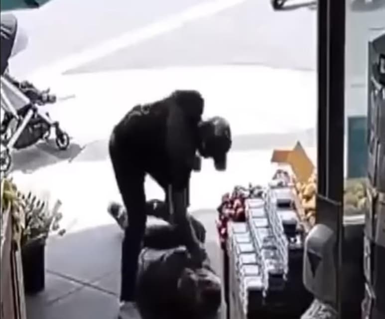 Tanto la víctima como su hijo resultaron ilesos (CAPTURA)