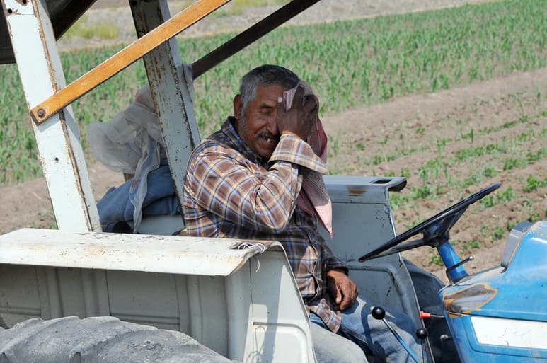 Los agricultores laguneros están preocupados por el 2022, pues debido a la sequía se corre el riesgo de no tener siquiera un miniciclo. (ARCHIVO)