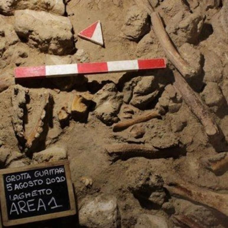 Los restos de nueve homínidos del periodo Neandertal y de algunos animales de la época fueron descubiertos en el yacimiento paleolítico de la cueva de Guattari en la localidad de San Felice Circeo, en la provincia de Latina, en el centro de Italia, informó el ministerio de Cultura italiano. (ESPECIAL)