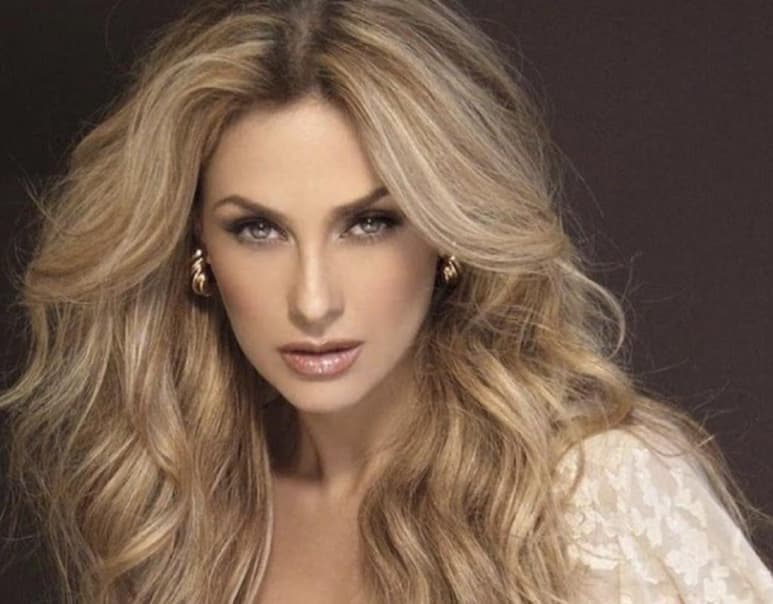 La actriz dejó poco a la imaginación con la fotografía que compartió en Instagram (@ARACELYARAMBULA)
