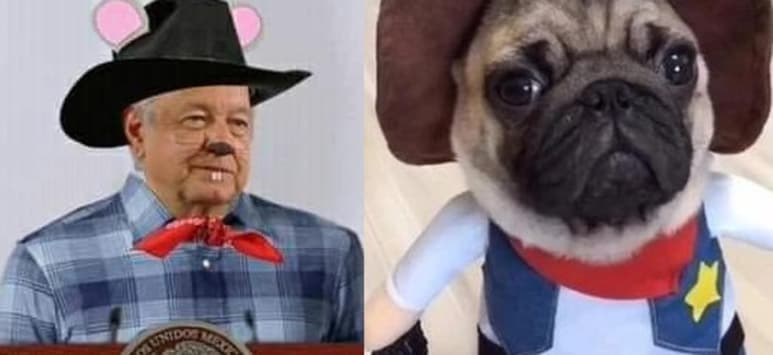 Las redes se llenaron de memes sobre la canción infantil de 'Cri-Crí' por el 10 de mayo (CAPTURA)