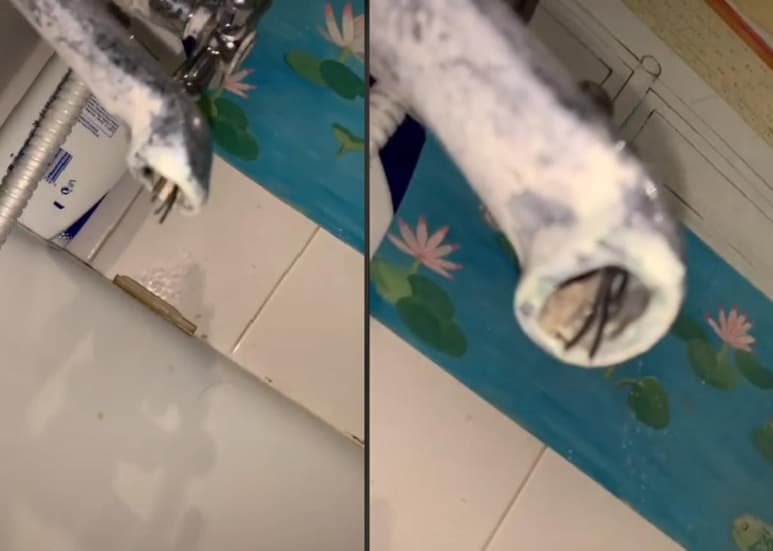 La grabación se hace viral. (INTERNET)