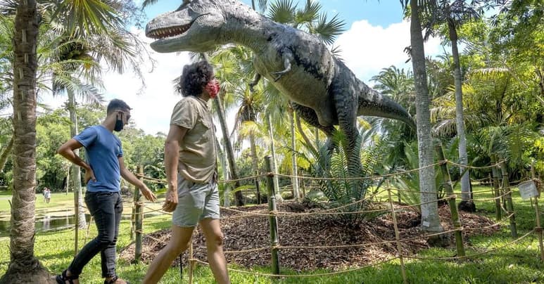 Una veintena de esculturas de tamaño natural de dinosaurios ambientan una 'aventura prehistórica' en el Jardín Botánico Fairchild de Miami-Dade (Florida, EUA), donde estas fascinantes criaturas aparecen rodeadas por plantas vivas del mundo prehistórico. (ESPECIAL)