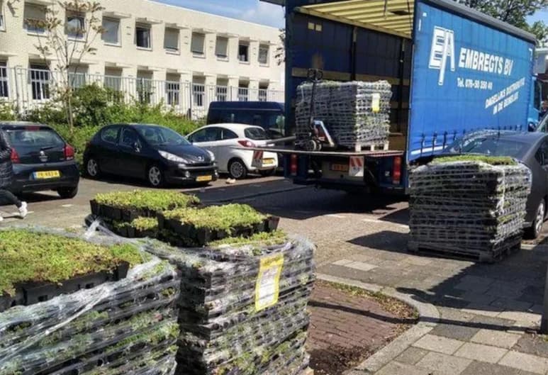 Después de toda una odisea, se llevaron las plantas y le entregaron el pedido corregido. (INTERNET)
