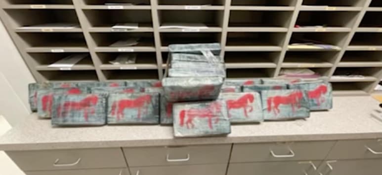 Las autoridades de un condado costero de Texas están pidiendo a los bañistas que no recojan ningún artículo sospechoso en el agua después de que varios paquetes de cocaína aparecieron en la playa los últimos días. (ESPECIAL)