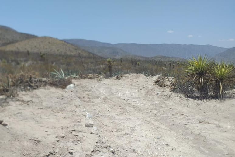 Acaba de perder 11 mil 216 metros cuadrados de flora y fauna protegida, primero con el incendio provocado el pasado 19 de mayo y posteriormente con unas obras realizadas al interior. (EL SIGLO DE TORREÓN)