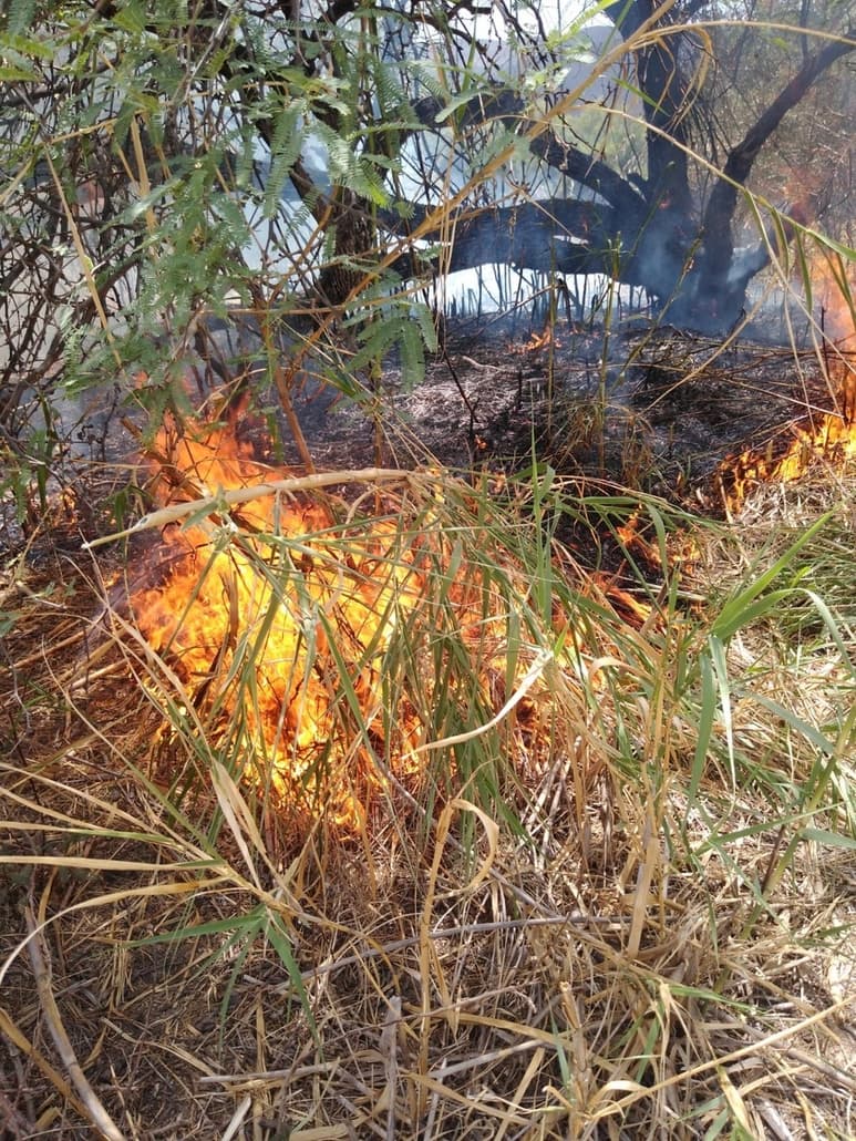 Esperan que la Procuraduría Federal de Protección al Medio Ambiente investigue los daños causados en el Cañón de Fernández.