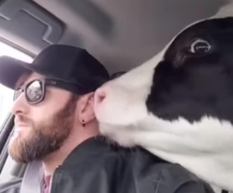 El video ganó inmensa popularidad en Tik Tok (CAPTURA)
