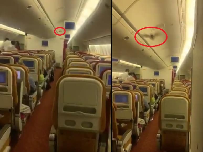 La aerolínea promete llevar a cabo una investigación. (INTERNET)