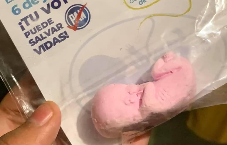 Junto a la publicidad que invita a votar por el Partido Acción Nacional (PAN), se obsequiaría una pequeña figura de un feto (CAPTURA)