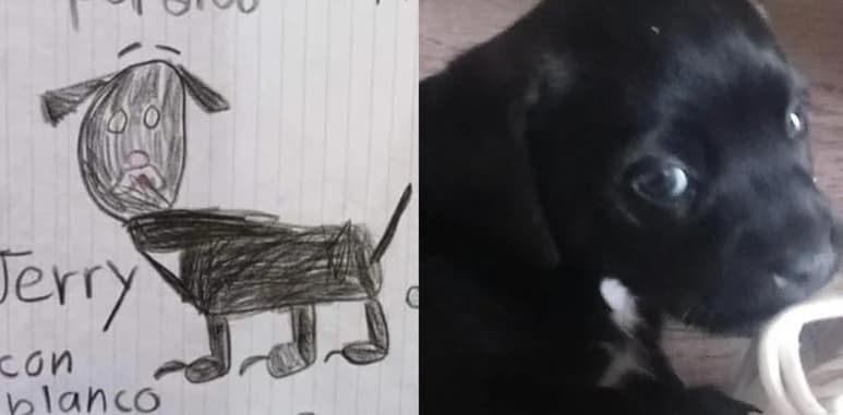 El niño realizó una ilustración de su mascota con la finalidad de encontrarlo (ESPECIAL)