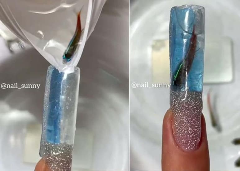 El establecimiento insiste que los peces no fueron dañados. (INTERNET)