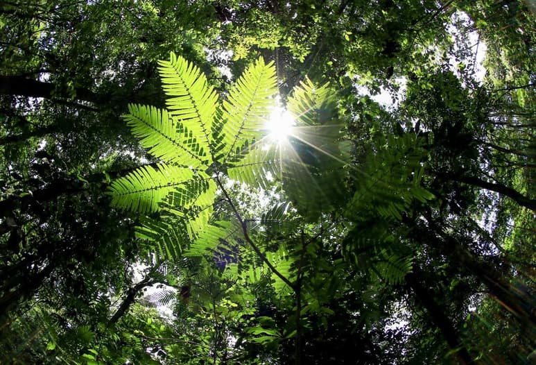 Afortunadamente cada vez es más grande el número de personas que están tomando acciones a favor del ecosistema, así que, ya sea que ya formes parte de este grupo o estés en el camino de una vida más ecofriendly, estos consejos te servirán para aportar tu granito de arena. (ARCHIVO)