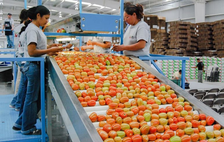 El valor de las exportaciones de México a la economía estadounidense representó el 14.1 % del total de las compras hechas por Estados Unidos al mundo. (EL SIGLO DE TORREÓN) 