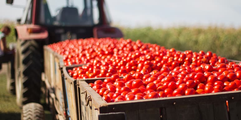 Los productores agropecuarios, a los que definió como 'El Alma de la Ruralidad', deben estar debidamente representados en la Cumbre, y destacó también la iniciativa del IICA. (EFE)