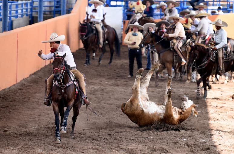 Las emociones inigualables de la charrería, regresarán este sábado al Lienzo Charro Gómez Palacio, donde a partir de las 20:00 horas se realizará una atractiva charreada amistosa con dos renombrados equipos locales y uno más, procedente del estado de Zacatecas.

