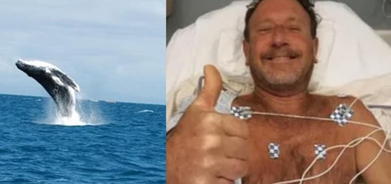 Michael Packard, comentó a medios locales que el animal lo sorprendió repentinamente al encontrarse a 45 metros de profundidad en Provincetown, Massachusetts (ESPECIAL)