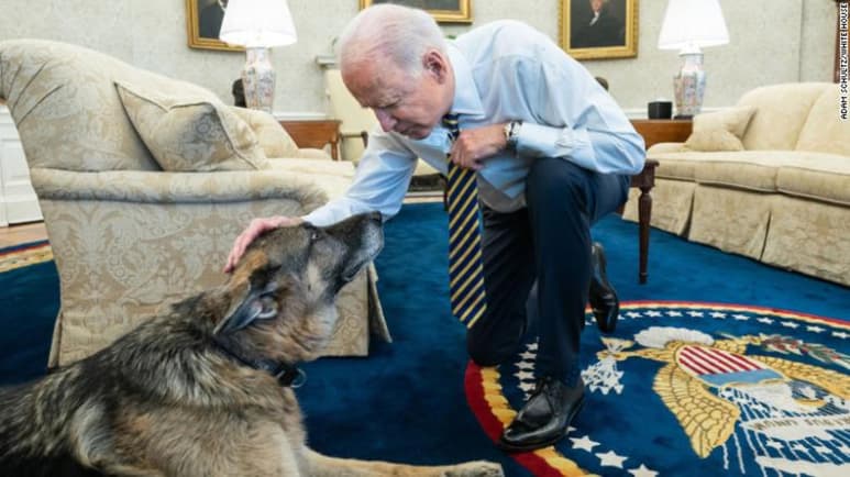 El presidente Joe Biden anunció el sábado que Champ, el más grande de los perros familiares, falleció “pacíficamente en casa”. El pastor alemán tenía 13 años. (ESPECIAL)