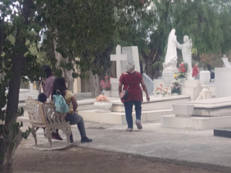 Para muchos ayer fue de “carnita asada” y cerveza, pues en la mayoría de los hogares festejaron a papá en su día, y una de estas excepciones, es Alfredo, quien a finales de enero vio como el COVID-19 le ganó la batalla a su padre.