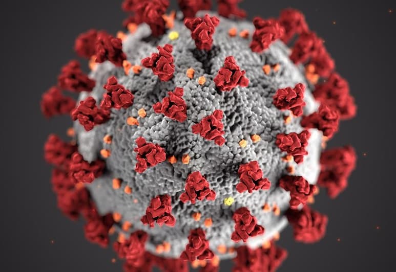 Un equipo ha identificado, en ensayos en laboratorio, cuatro sustancias capaces de inhibir la replicación del SARS-Cov-2 dentro de las células y el compuesto más prometedor se usa para el tratamiento de la tenia, con el que se está realizando un ensayo clínico. (ESPECIAL)