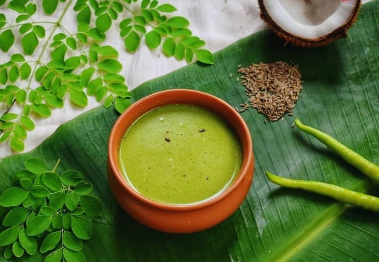 RAÍZ. La moringa es un género de arbustos y árboles con múltiples usos, sus hojas, raíces y vainas no maduras se consumen como hortaliza. (ESPECIAL)