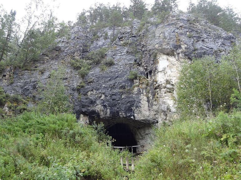 El ADN extraído de los sedimentos de la cueva Denísova (Siberia), famosa por el hallazgo de los denisovanos, forma extinta del género Homo, ha rastreado 300,000 años de presencia de homínidos y animales, señala la revista Nature. (ESPECIAL)