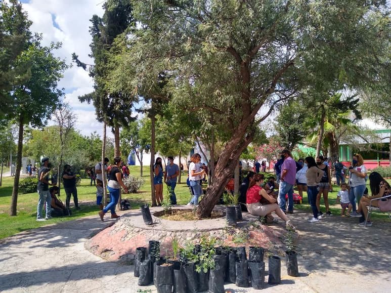 El fin es promover la adopción de árboles y plantas de la región y que los municipios laguneros se comprometan en cualquier administración local a mantener viva la reforestación. (EL SIGLO DE TORREÓN)
