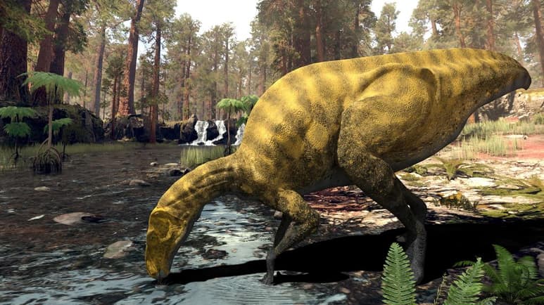 Vivió en la península Ibérica 'poco después' del Jurásico, hace unos 130 millones de años, y los restos fósiles de un dinosaurio encontrados en un yacimiento de Castellón (este de España) han revelado que se trata de una especie hasta ahora desconocida, parecido a un gran 'iguanodon' (iguana gigante). (ESPECIAL)