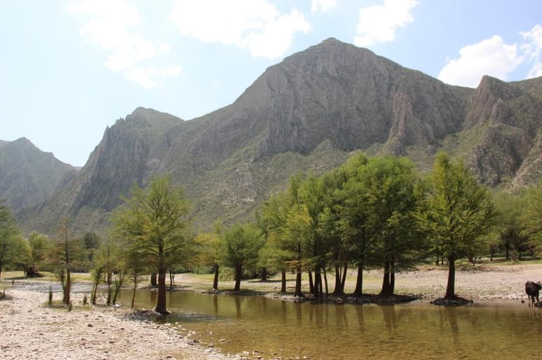 El Frente Campesino por la Defensa del Agua y la Tierra advirtió que hay gran incertidumbre por la falta de información sobre el proyecto de Agua Saludable para La Laguna, pero sobre todo, por la disposición de un volumen de la presa Lázaro Cárdenas, cuando no se ha avanzado en la adquisición de derechos y ni siquiera ha habido diálogo con el sector ejidal al respecto. (ARCHIVO)