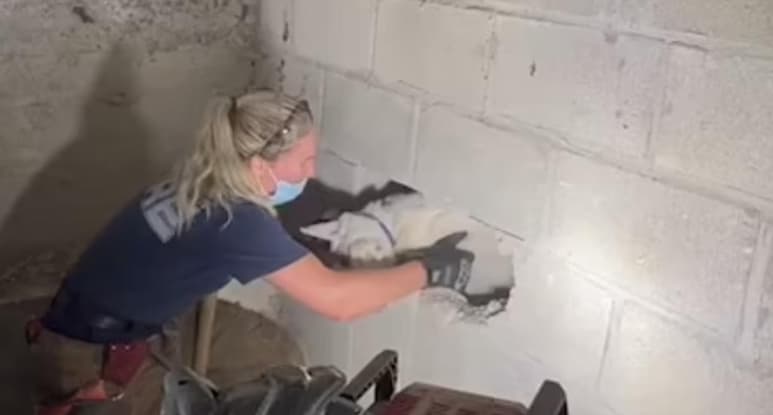 La perra estaba atrapada en la cochera de sus dueños (CAPTURA)
