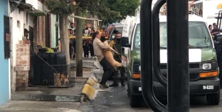 Los hechos ocurrieron en la calle 22, sin número, entre la 25 y 46, de la colonia Vicente Guerrero.