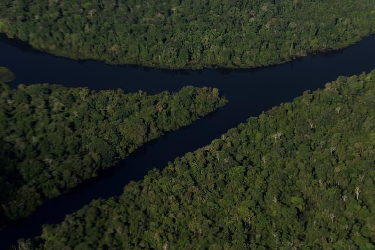 El Amazonas desempeña una labor fundamental para absorber dióxido de carbono; sin embargo, el sureste del mayor bosque tropical del mundo ha empezado a emitir más CO2 del que absorbe, según un estudio que publica Nature. (ARCHIVO)
