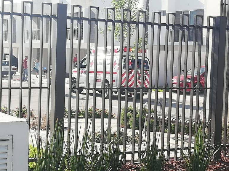 La mujer no se percató de que la menor se salió de la casa y se colocó a un costado del vehículo sedán de color rojo, con los resultados mencionados.
(EL SIGLO DE TORREÓN)