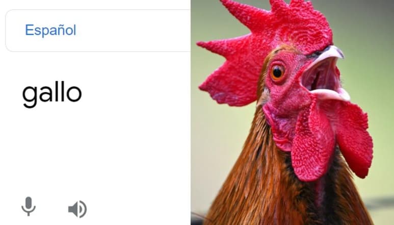 El 'error' en el traductor de Google no tardó en volverse viral, generando risas entre internautas (CAPTURA)