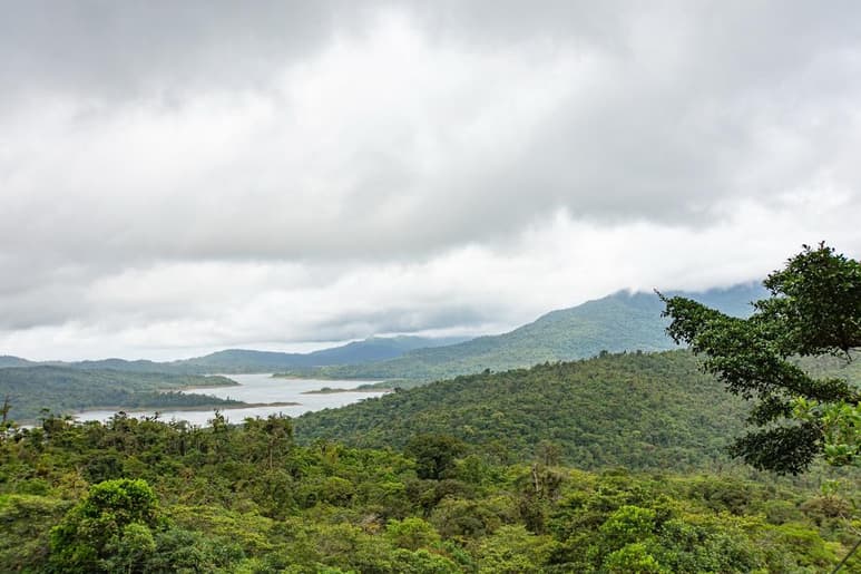 Fortuna, situado en el oeste de Panamá, es el bosque más nublado de Centroamérica y almacena tres veces más carbono de lo pensado, dijo el Instituto Smithsonian de Investigaciones Tropicales, que destacó su gran potencial para contrarrestar el calentamiento global. (ARCHIVO)